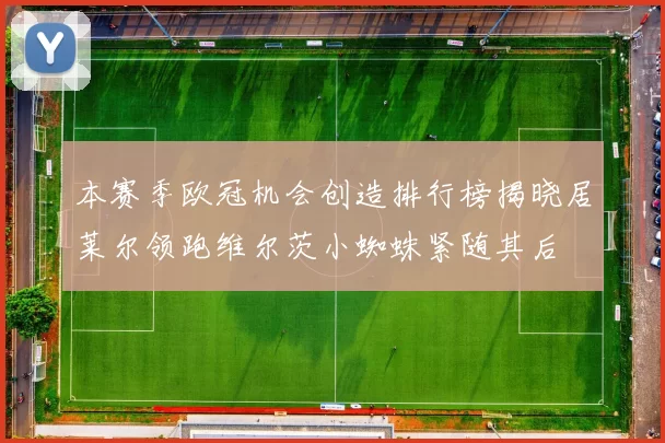 本赛季欧冠机会创造排行榜揭晓居莱尔领跑维尔茨小蜘蛛紧随其后