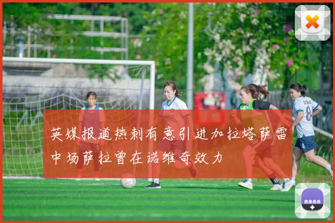 英媒报道热刺有意引进加拉塔萨雷中场萨拉曾在诺维奇效力